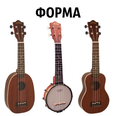 141.jpg